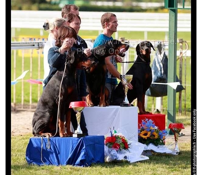 Publication : Des Brumes De Kalhan