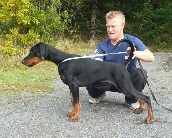 Publication : Des Brumes De Kalhan