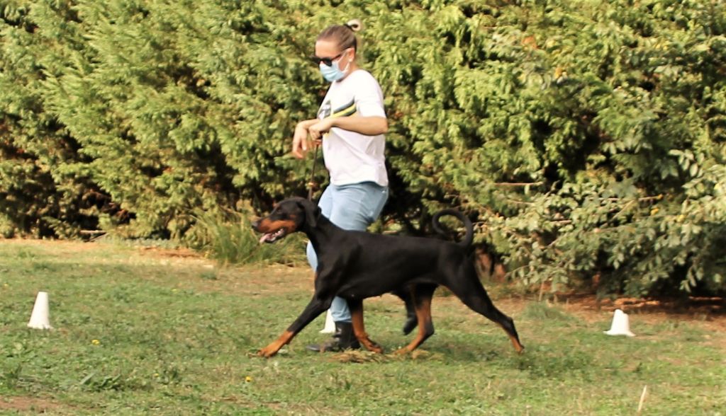 Publication : Des Brumes De Kalhan