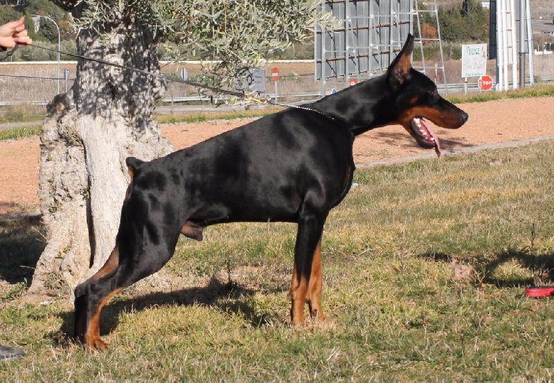 Publication : Des Brumes De Kalhan