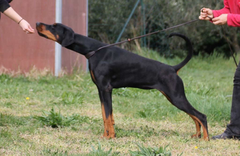 Publication : Des Brumes De Kalhan