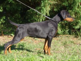 Publication : Des Brumes De Kalhan