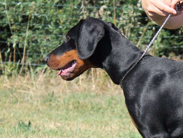 Publication : Des Brumes De Kalhan