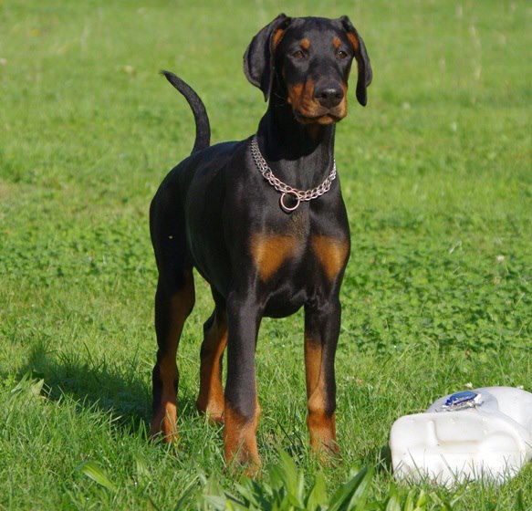 Publication : Des Brumes De Kalhan