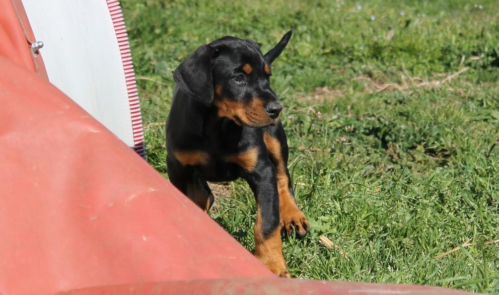 Publication : Des Brumes De Kalhan