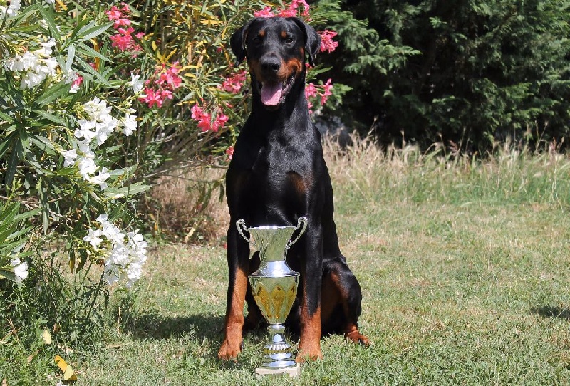 Publication : Des Brumes De Kalhan