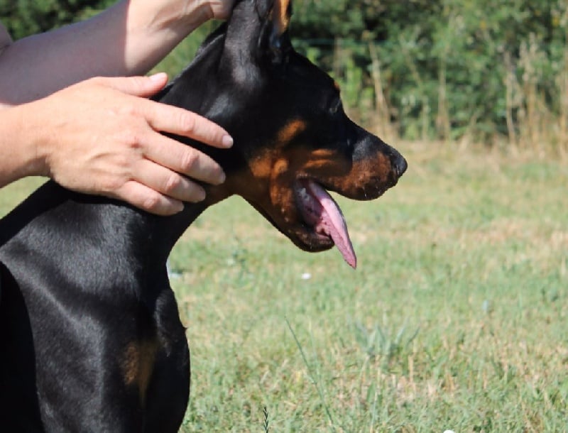 Publication : Des Brumes De Kalhan