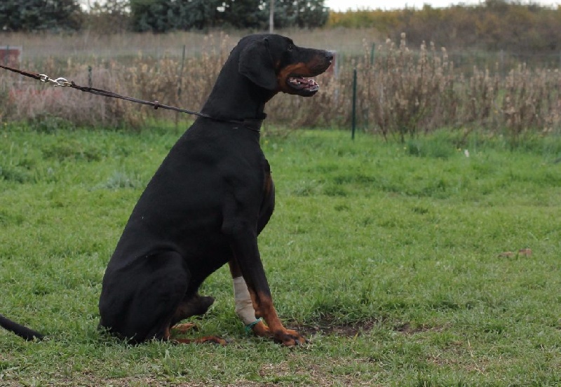 Publication : Des Brumes De Kalhan