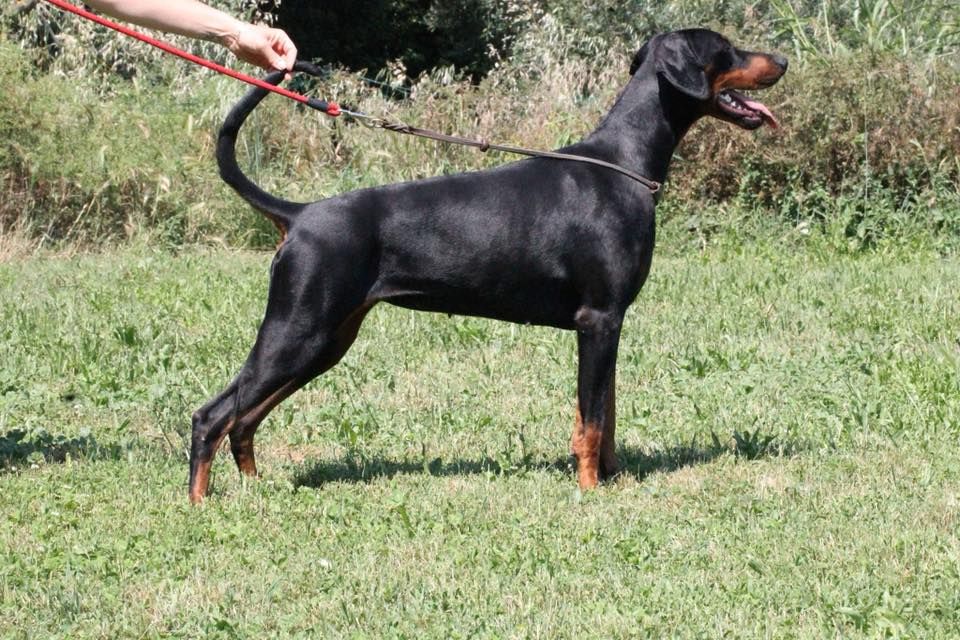 Publication : Des Brumes De Kalhan