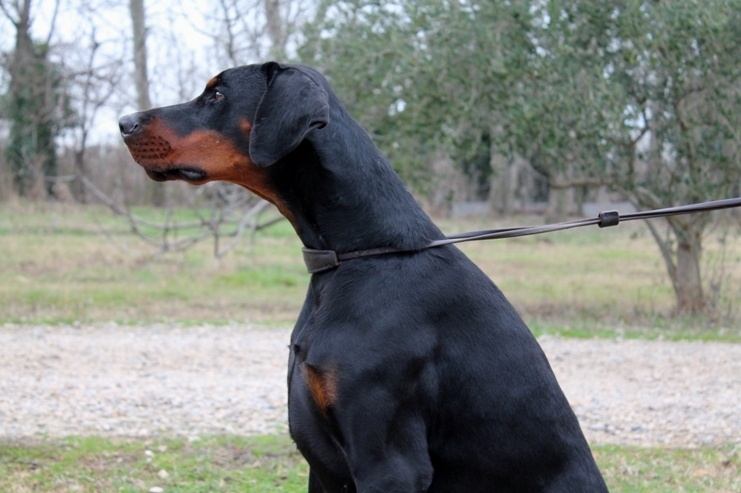 Publication : Des Brumes De Kalhan