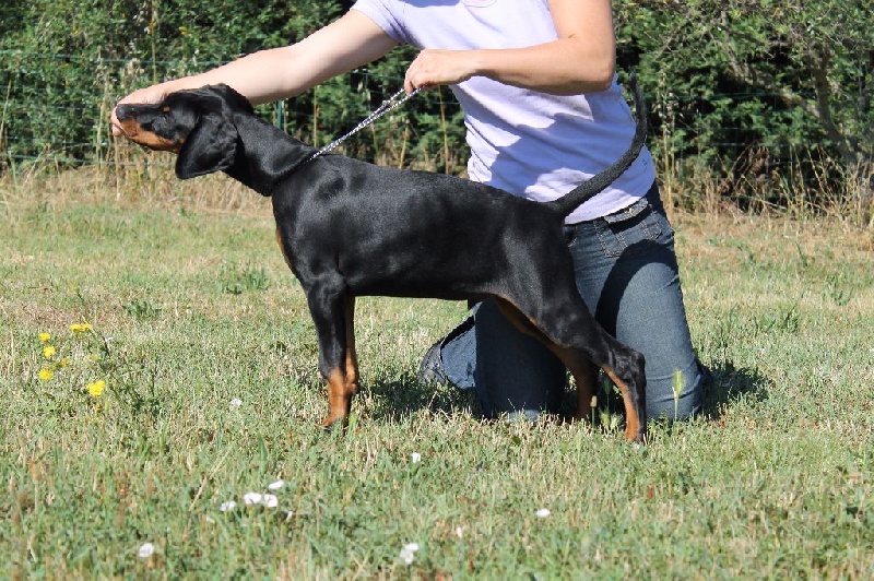 Publication : Des Brumes De Kalhan