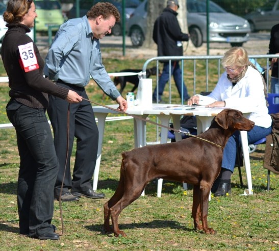 Felippa-n'niña nathalia des sentiers battus - 2ème Exc en classe intermédiaire