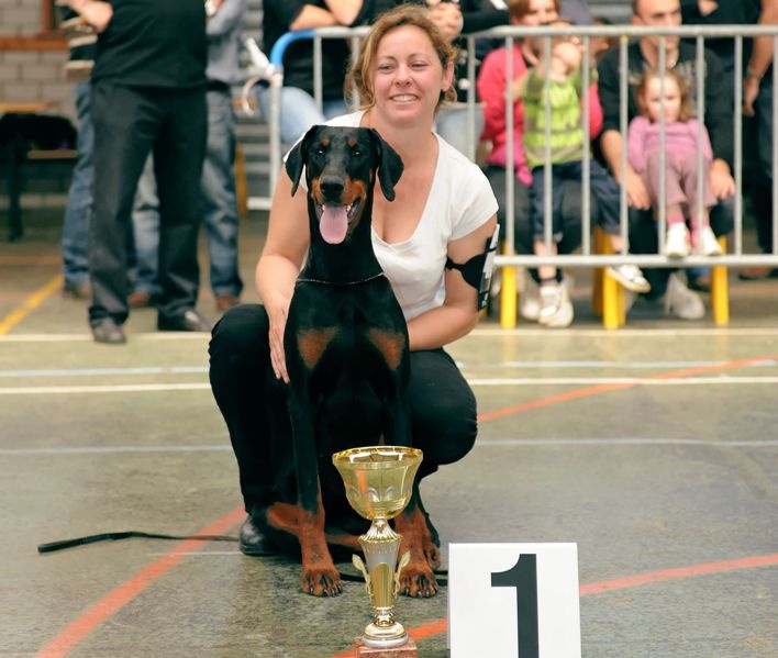 Je t'aime dite jalmaï v.nobel line - 1ère TP, meilleur débutant femelle