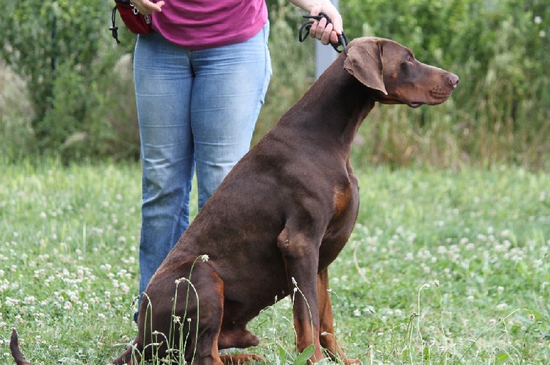Largo winch Des Brumes De Kalhan - 1er exc classe intermédiaire
