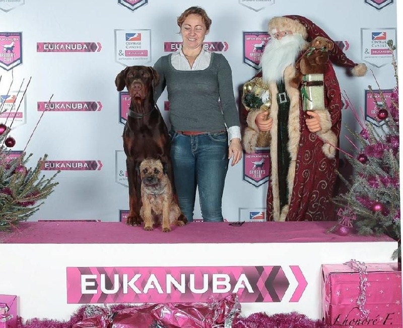 Largo winch Des Brumes De Kalhan - 1er excellent classe intermédiaire, CAC