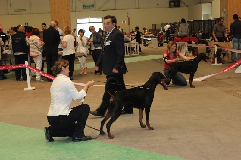 Je t'aime dite jalmaï v.nobel line - 2ème exc Classe jeune