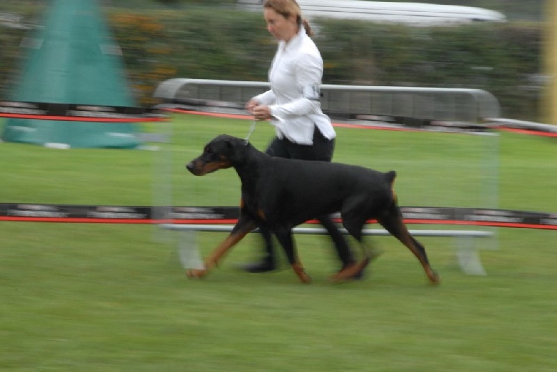 Iskandhar Des Brumes De Kalhan - 2eme exc classe intermédiaire