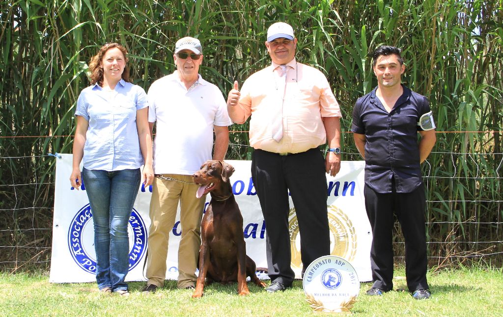 CH. Limoncello Des Brumes De Kalhan - 1er exc classe intermédiaire, CAC, BOB