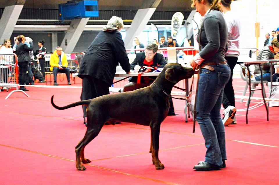 Largo winch Des Brumes De Kalhan - 2ème exc classe ouverte