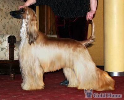 Publication : d'Agathe's D-Day