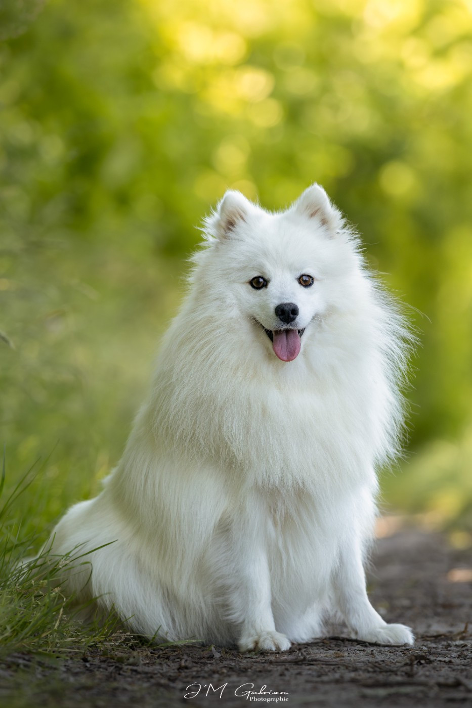 Viktoria milady Of Blue Neverland