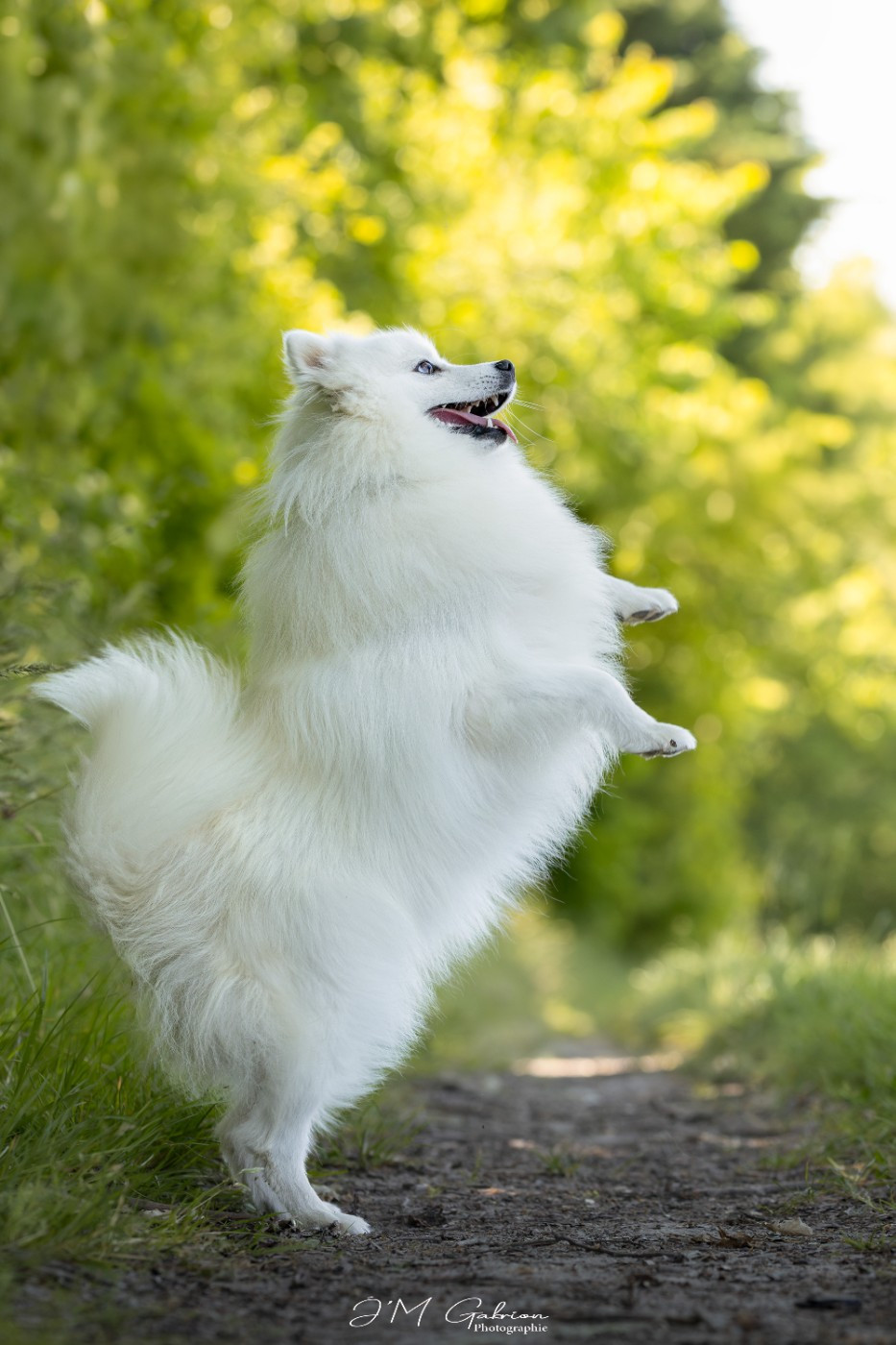 Viktoria milady Of Blue Neverland