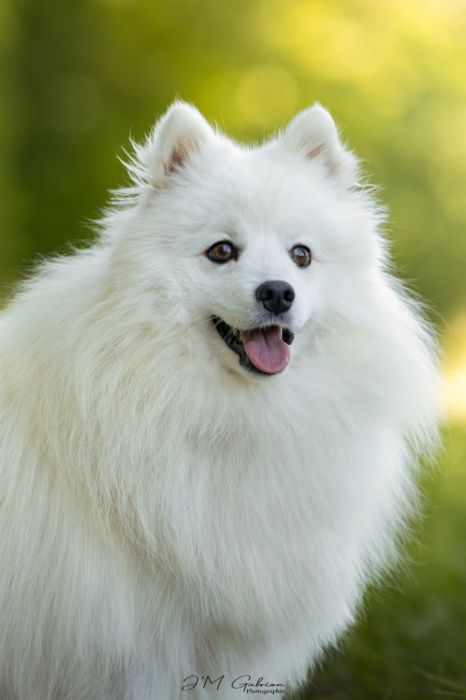 Viktoria milady Of Blue Neverland