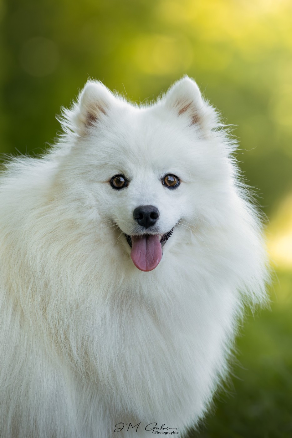 Viktoria milady Of Blue Neverland