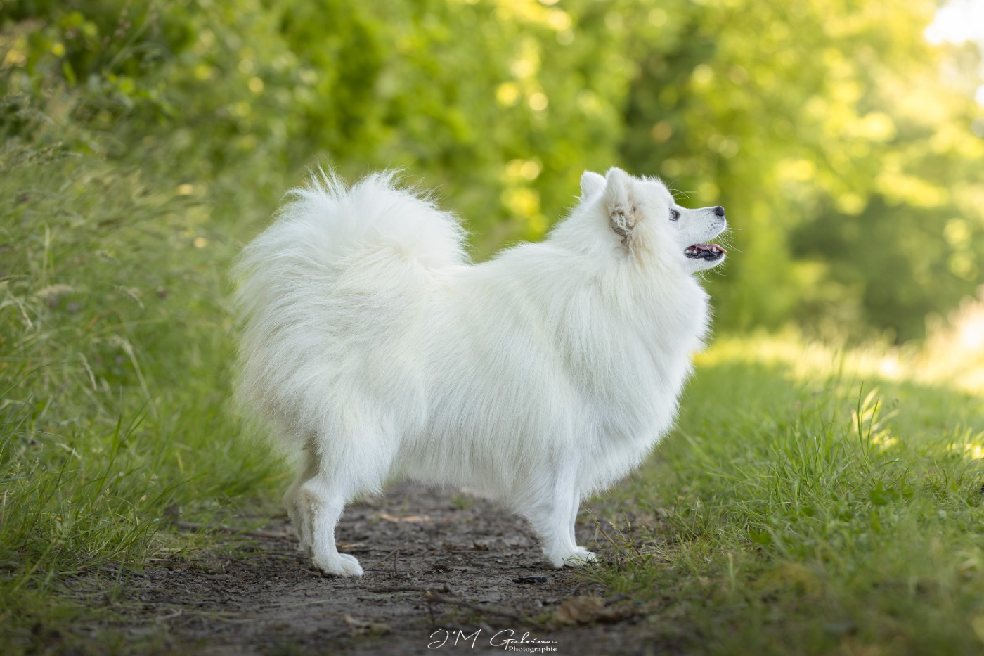 Viktoria milady Of Blue Neverland