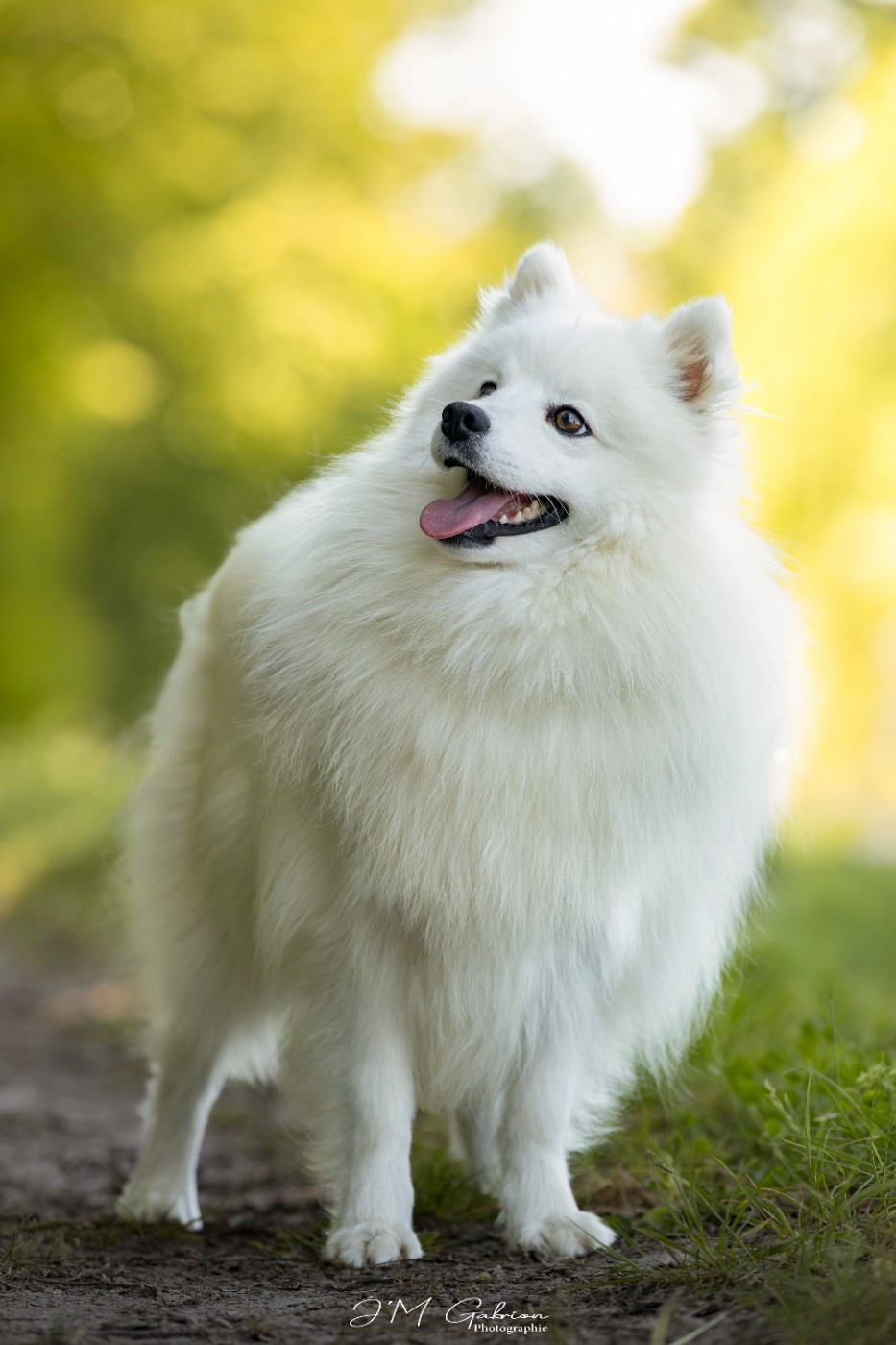 Viktoria milady Of Blue Neverland