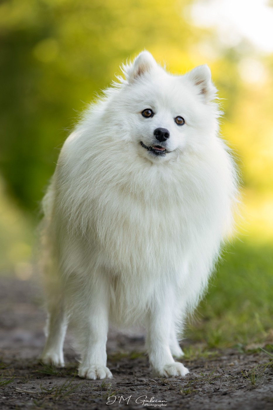 Viktoria milady Of Blue Neverland