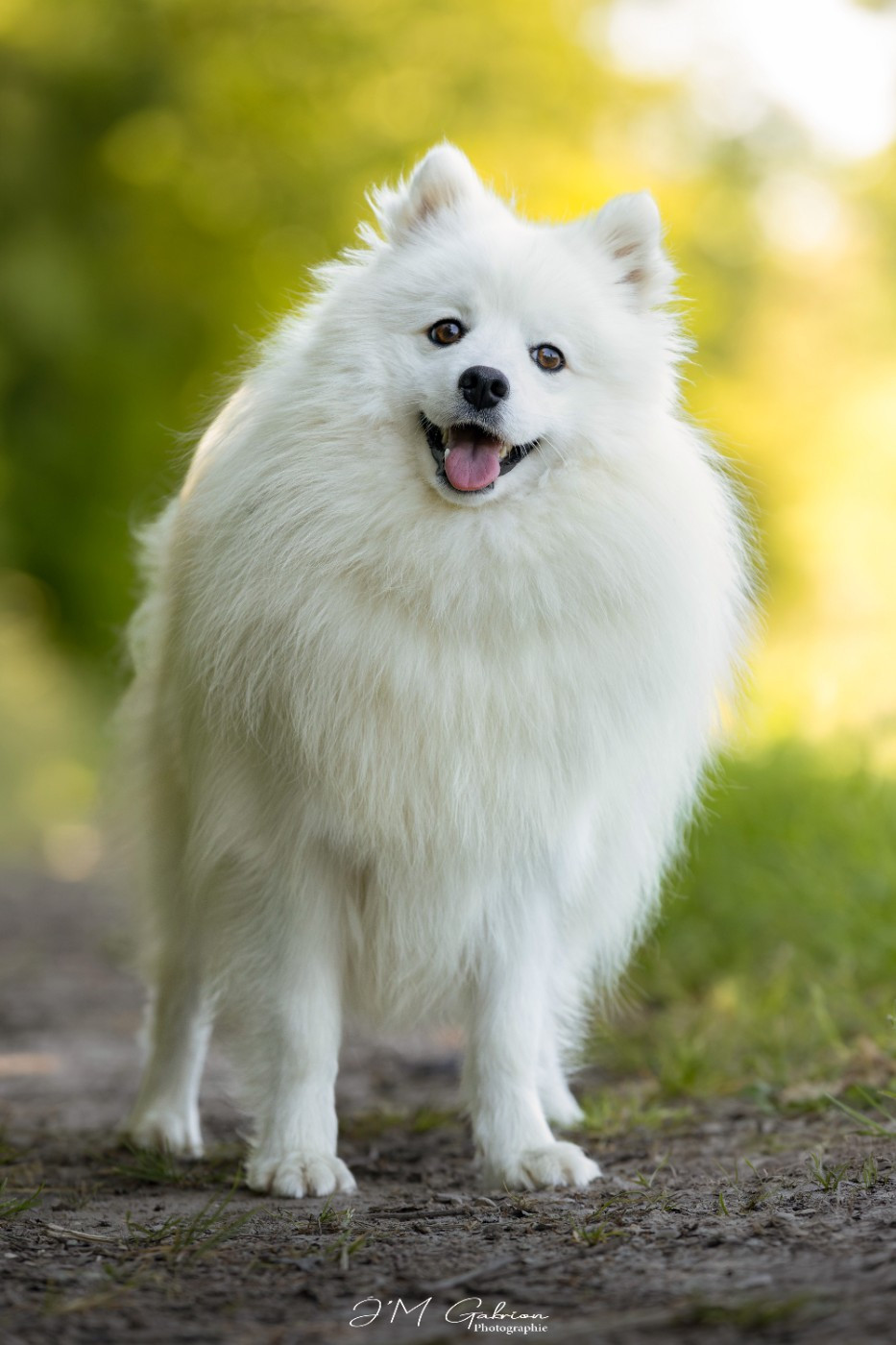 Viktoria milady Of Blue Neverland