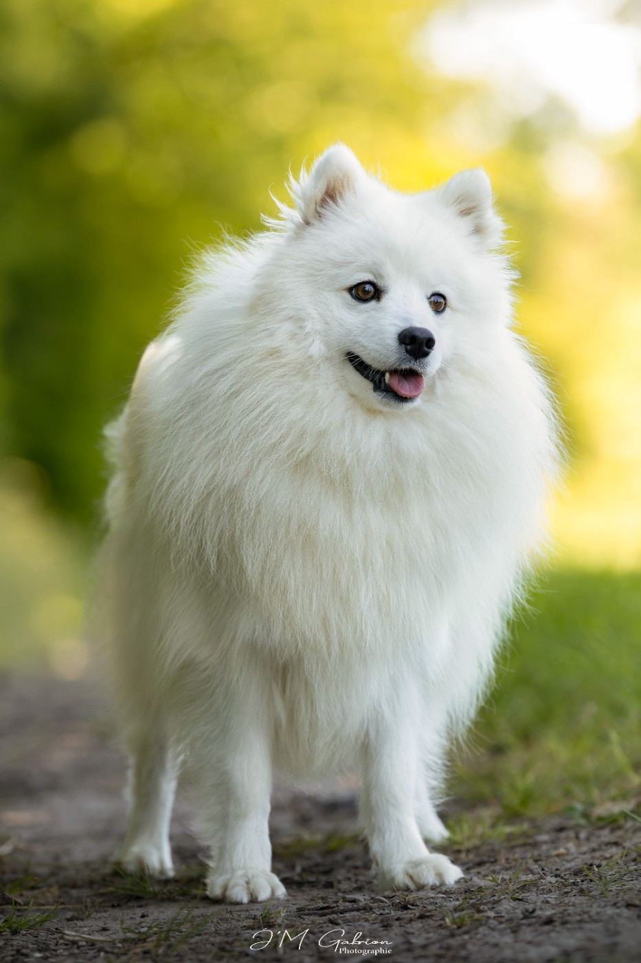 Viktoria milady Of Blue Neverland