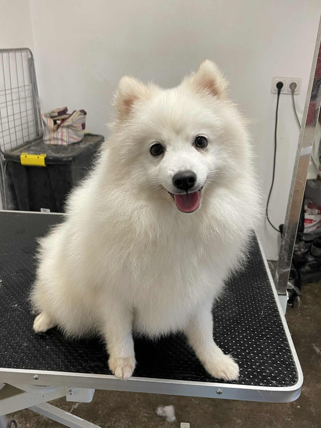 Vainqueur izamami dit badoum Of Fantasia Lover Land