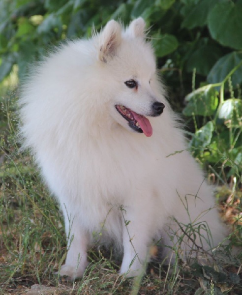 Publication : du Pays de Brocéliande Auteur : legros laetitia