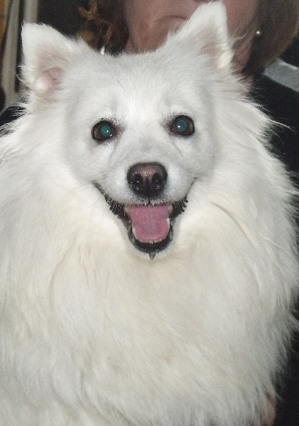 Emiko Of Fantasia Lover Land