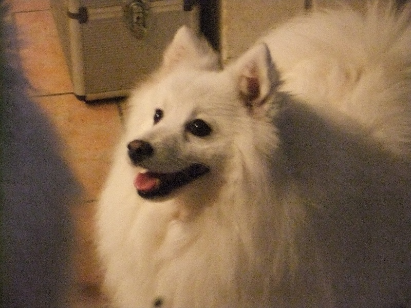 Emiko Of Fantasia Lover Land