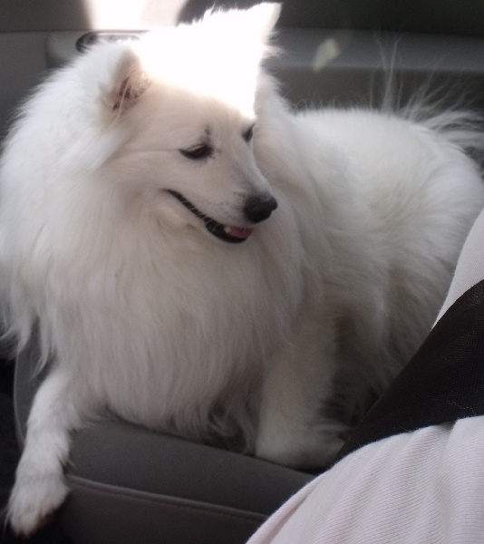 Emiko Of Fantasia Lover Land