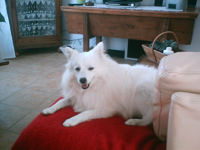 Emiko Of Fantasia Lover Land