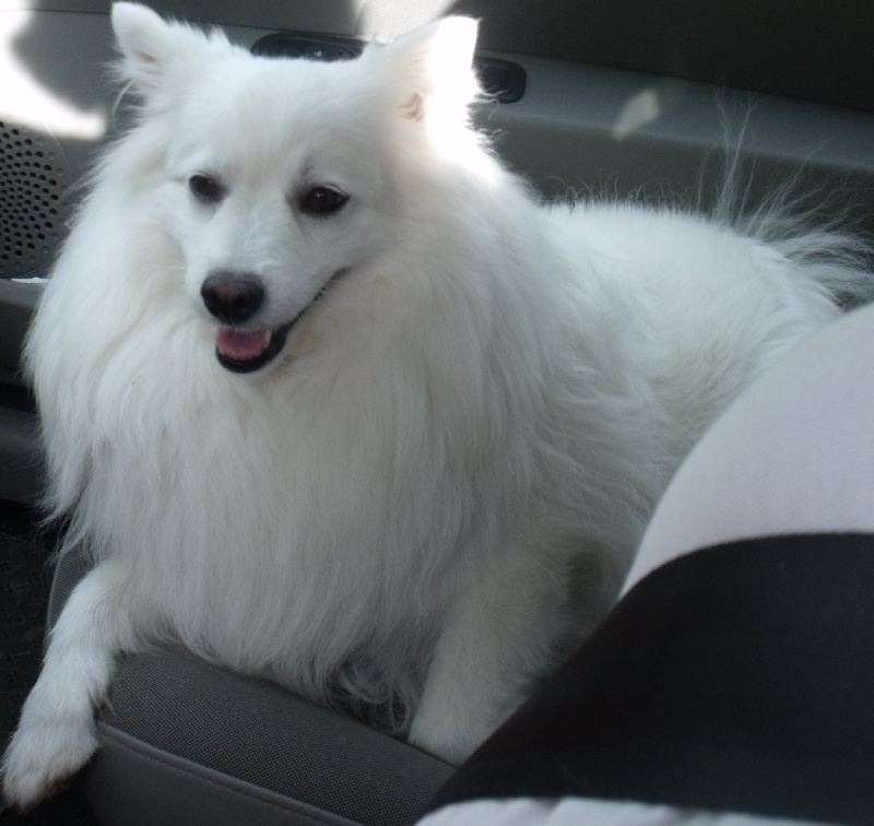 Emiko Of Fantasia Lover Land