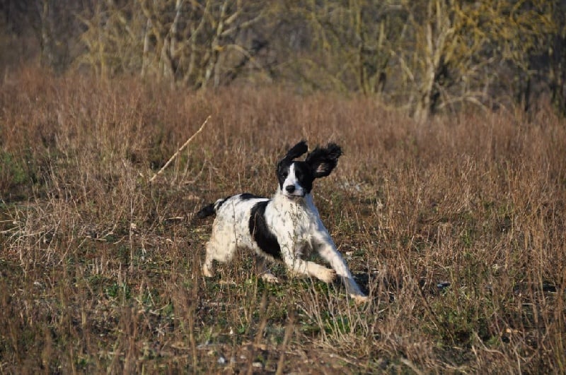 Publication : Sunset D'hell