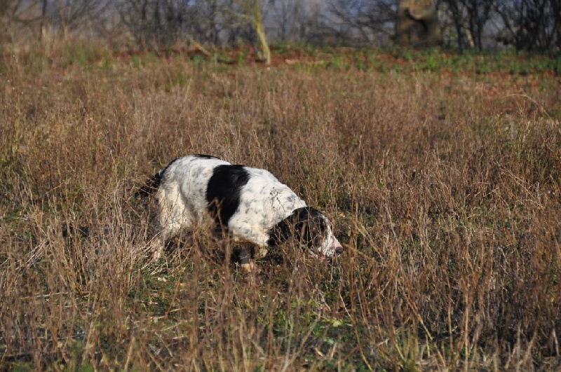 Publication : Sunset D'hell