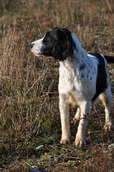 Publication : Sunset D'hell