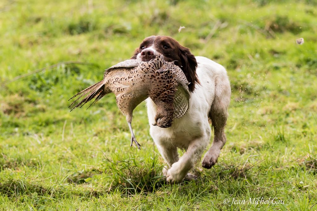 Publication : Sunset D'hell