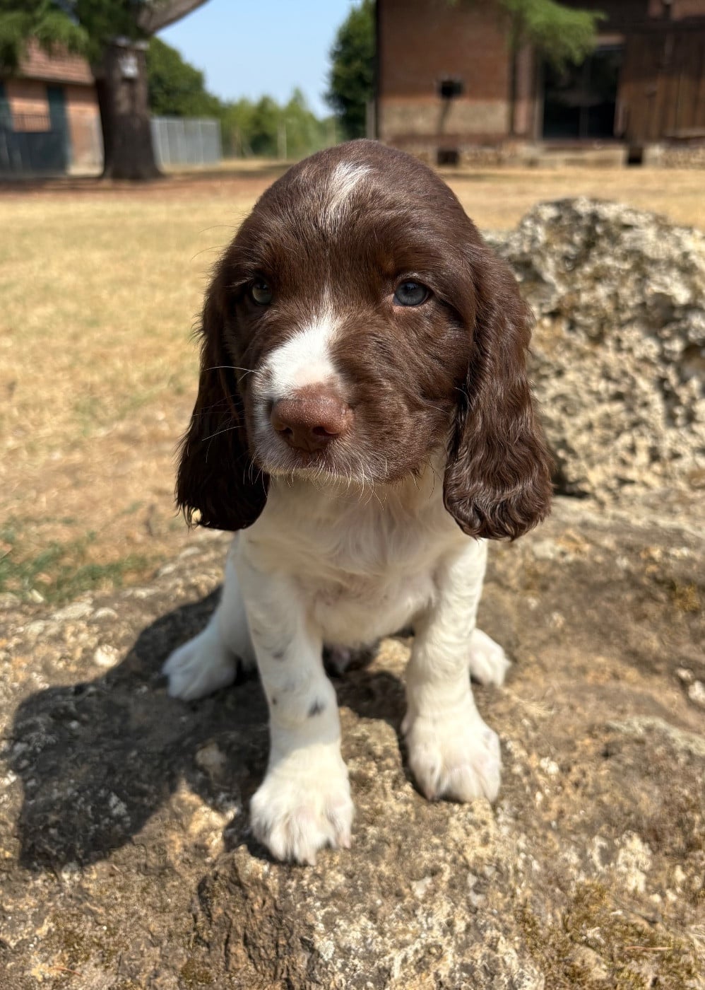 Buster