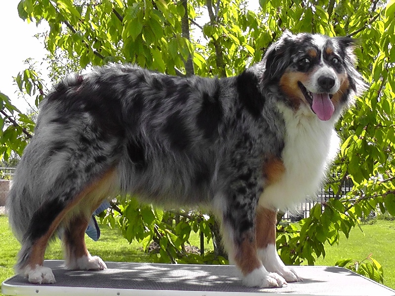 Publication : du Feeling de Nolister Auteur : Du Pays aux Longs Hivers