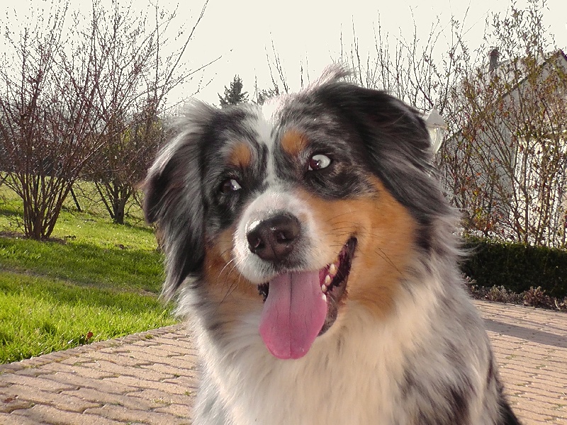 Publication : du Feeling de Nolister Auteur : Du Pays aux Longs Hivers