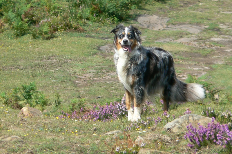 Publication : du Feeling de Nolister Auteur : Du Pays aux Longs Hivers