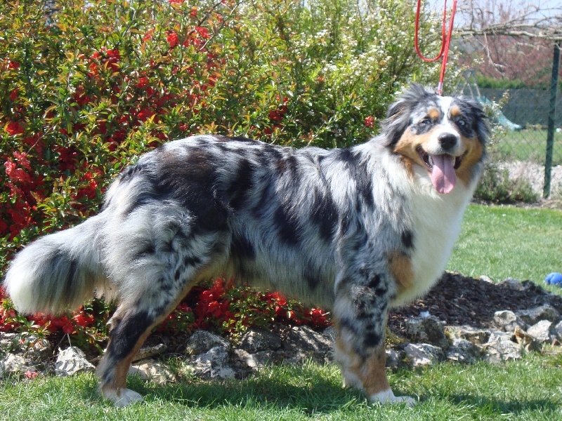 Publication : du Feeling de Nolister Auteur : Du Pays aux Longs Hivers