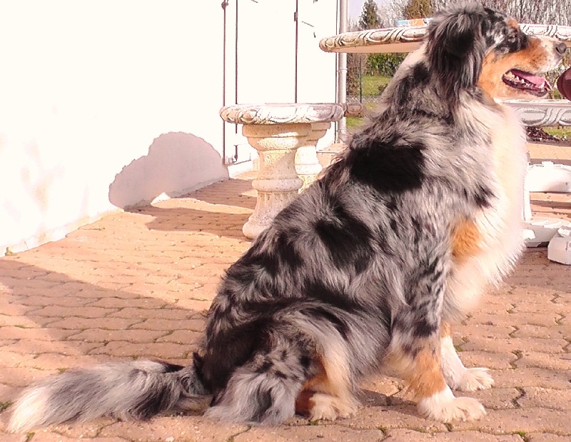 Publication : du Feeling de Nolister Auteur : Du Pays aux Longs Hivers